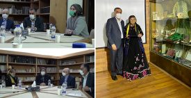 پروین بهمنی